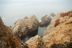 Point Lobos 053
