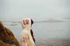 Point Lobos 056