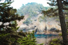 Point Lobos 091