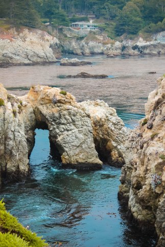 Point Lobos 137